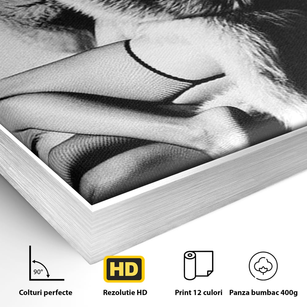 Detaliu al suprafetei: tablou portret femeie retro cu blana, in rama de aluminiu argintiu
